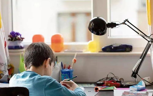 教育局發(fā)文加強(qiáng)教育咨詢服務(wù)，家長(zhǎng)監(jiān)督職責(zé)獲強(qiáng)化